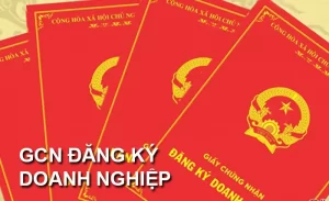 Dịch vụ hỗ trợ xin cấp Giấy phép thành lập Công ty 8 giấy chứng nhận đăng ký doanh nghiệp