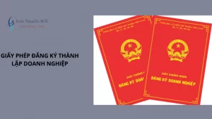 Tại Sao Cần Có Giấy Đăng Ký Thành Lập Doanh Nghiệp? 6 Giấy đăng ký thành lập doanh nghiệp