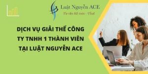 Thủ Tục Giải Thể Công Ty TNHH 1 Thành Viên 7 Dịch vụ thực hiện thủ tục giải thể công ty TNHH 1 thành viên