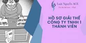 Hồ Sơ Giải Thể Công Ty TNHH 1 Thành Viên Gồm Những Gì? 3 Hồ sơ giải thể công ty TNHH 1 thành viên