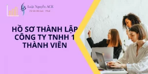 Những Lưu Ý Và Hồ Sơ Thành Lập Công Ty TNHH 1 Thành viên 1 Hồ sơ thành lập công ty TNHH 1 thành viên