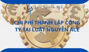 Tìm hiểu chi phí thành lập công ty 2 Chi phí thành lập công ty tại Luật Nguyễn ACE