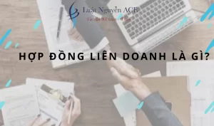 Nội dung của hợp đồng liên doanh và đặc điểm của nó 6 Hợp đồng liên doanh là gì