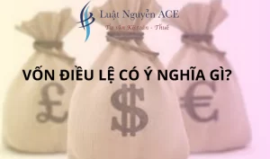 Vốn điều lệ có ý nghĩa gì đối với doanh nghiệp hiện nay 9 Vốn điều lệ có ý nghĩa gì