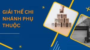 Điều kiện, hồ sơ, thủ tục giải thể chi nhánh phụ thuộc chi tiết nhất 26 Hồ sơ cần chuẩn bị cho giải thể chi nhánh phụ thuộc